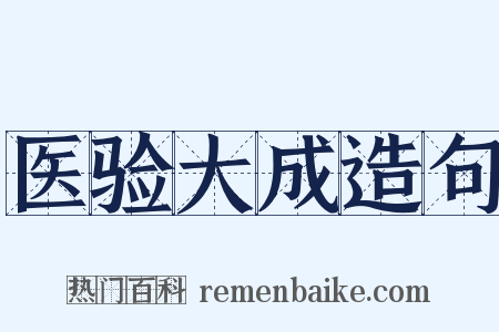 医验大成造句是什么意思的图片